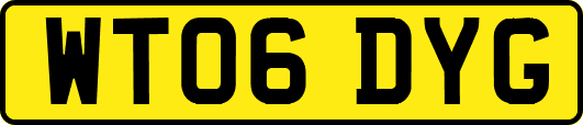 WT06DYG