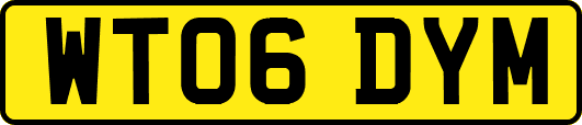 WT06DYM