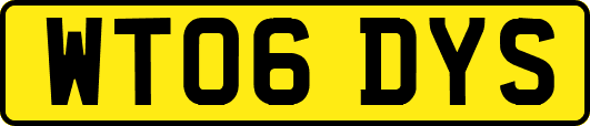 WT06DYS