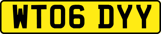 WT06DYY