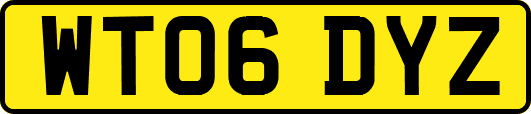 WT06DYZ