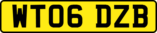 WT06DZB