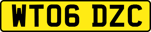 WT06DZC
