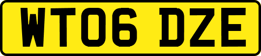 WT06DZE