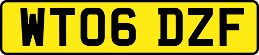 WT06DZF
