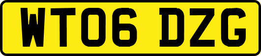 WT06DZG