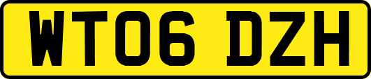 WT06DZH