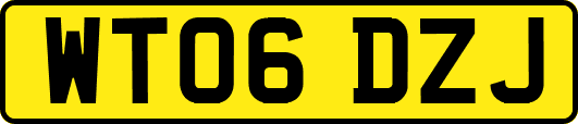 WT06DZJ