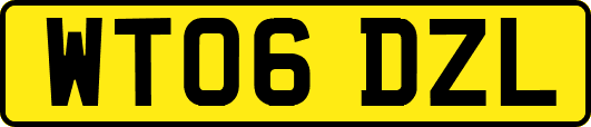 WT06DZL