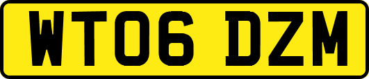 WT06DZM
