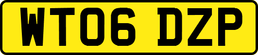 WT06DZP