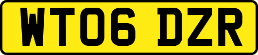 WT06DZR