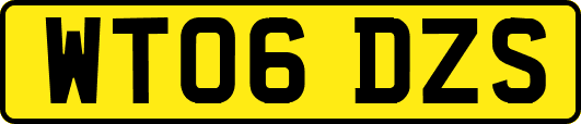 WT06DZS