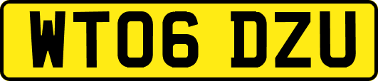 WT06DZU