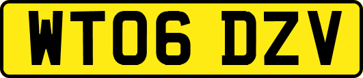 WT06DZV