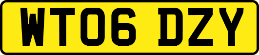 WT06DZY