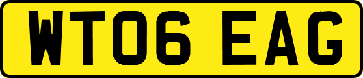 WT06EAG