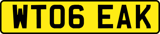 WT06EAK