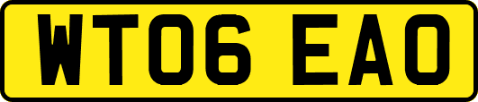 WT06EAO