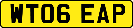 WT06EAP