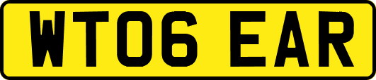 WT06EAR