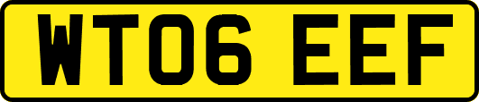 WT06EEF