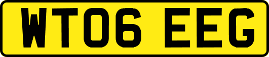 WT06EEG
