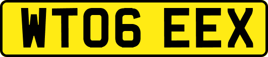 WT06EEX