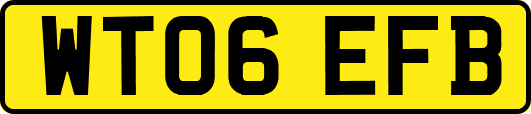 WT06EFB
