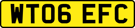 WT06EFC