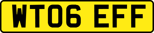 WT06EFF