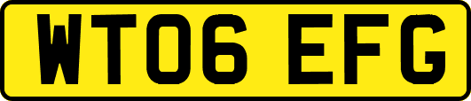WT06EFG