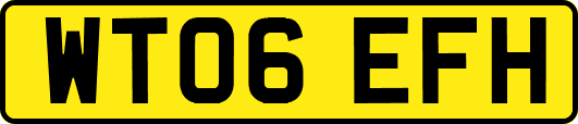 WT06EFH