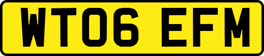 WT06EFM