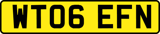 WT06EFN