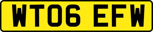 WT06EFW