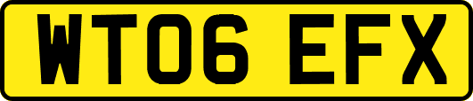 WT06EFX