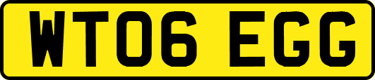 WT06EGG
