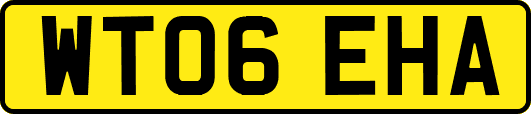 WT06EHA