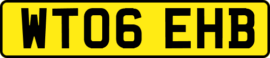 WT06EHB
