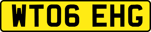WT06EHG