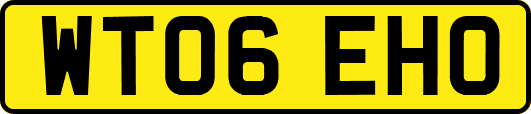 WT06EHO