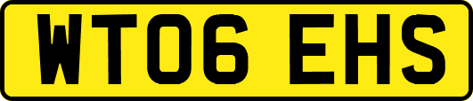 WT06EHS