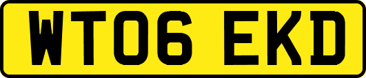 WT06EKD