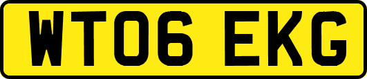 WT06EKG