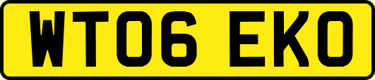 WT06EKO