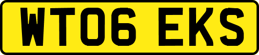 WT06EKS