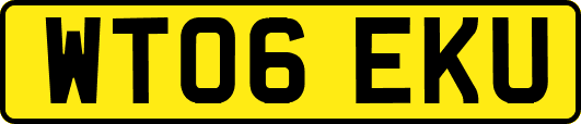 WT06EKU