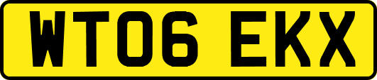 WT06EKX