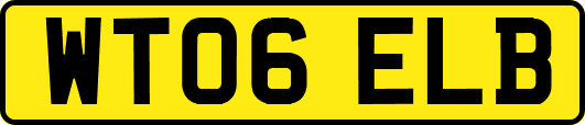 WT06ELB